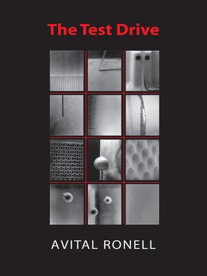cover image of The Test Drive